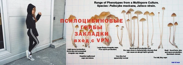 ГАЛЛЮЦИНОГЕННЫЕ ГРИБЫ Баксан