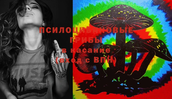 СК Балахна