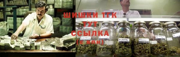 ГАЛЛЮЦИНОГЕННЫЕ ГРИБЫ Баксан