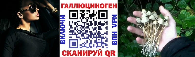 ссылка на мегу ссылка  Воронеж  маркетплейс состав  Псилоцибиновые грибы MAGIC MUSHROOMS 